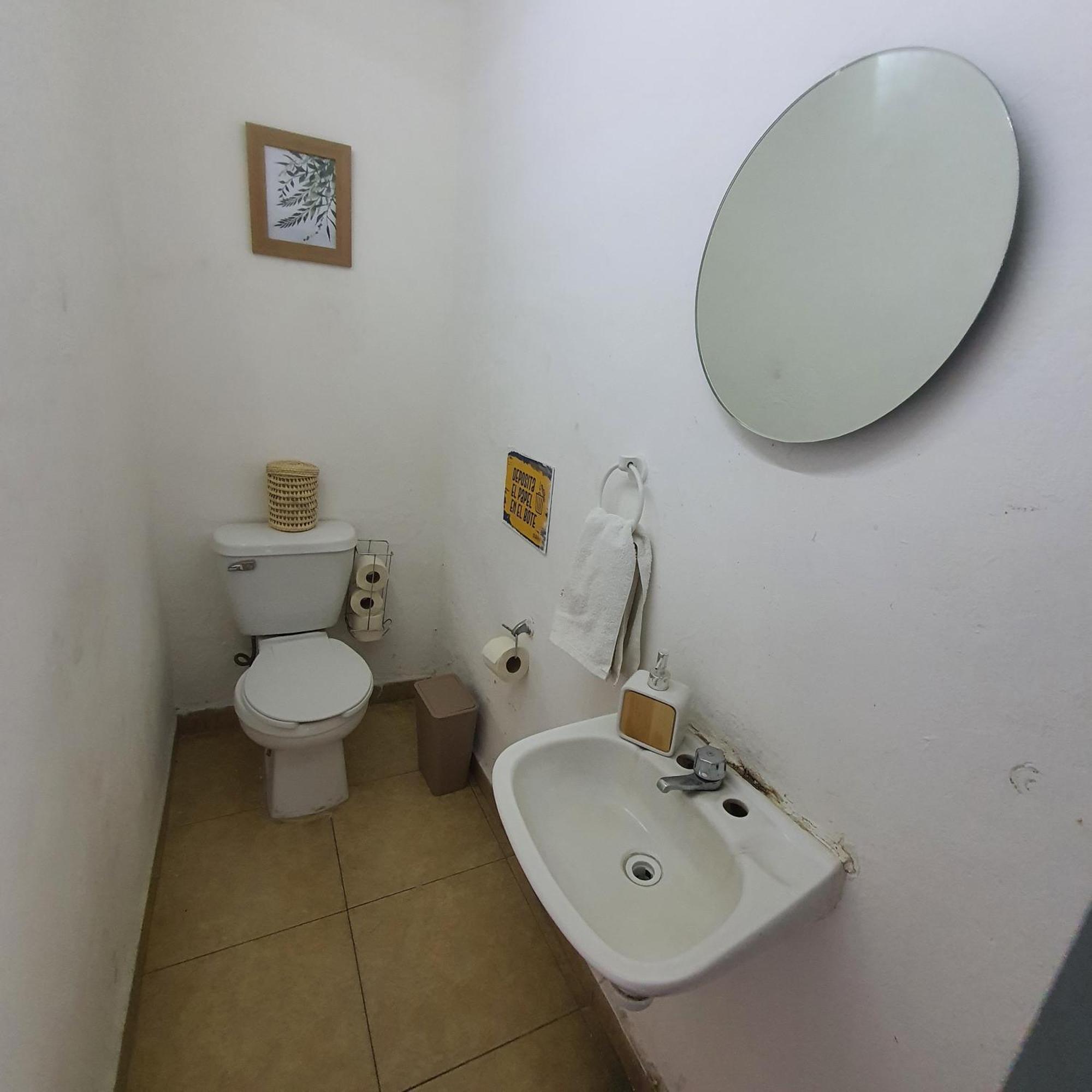 Sukha Hostel San Luis San Luis Potosí Oda fotoğraf