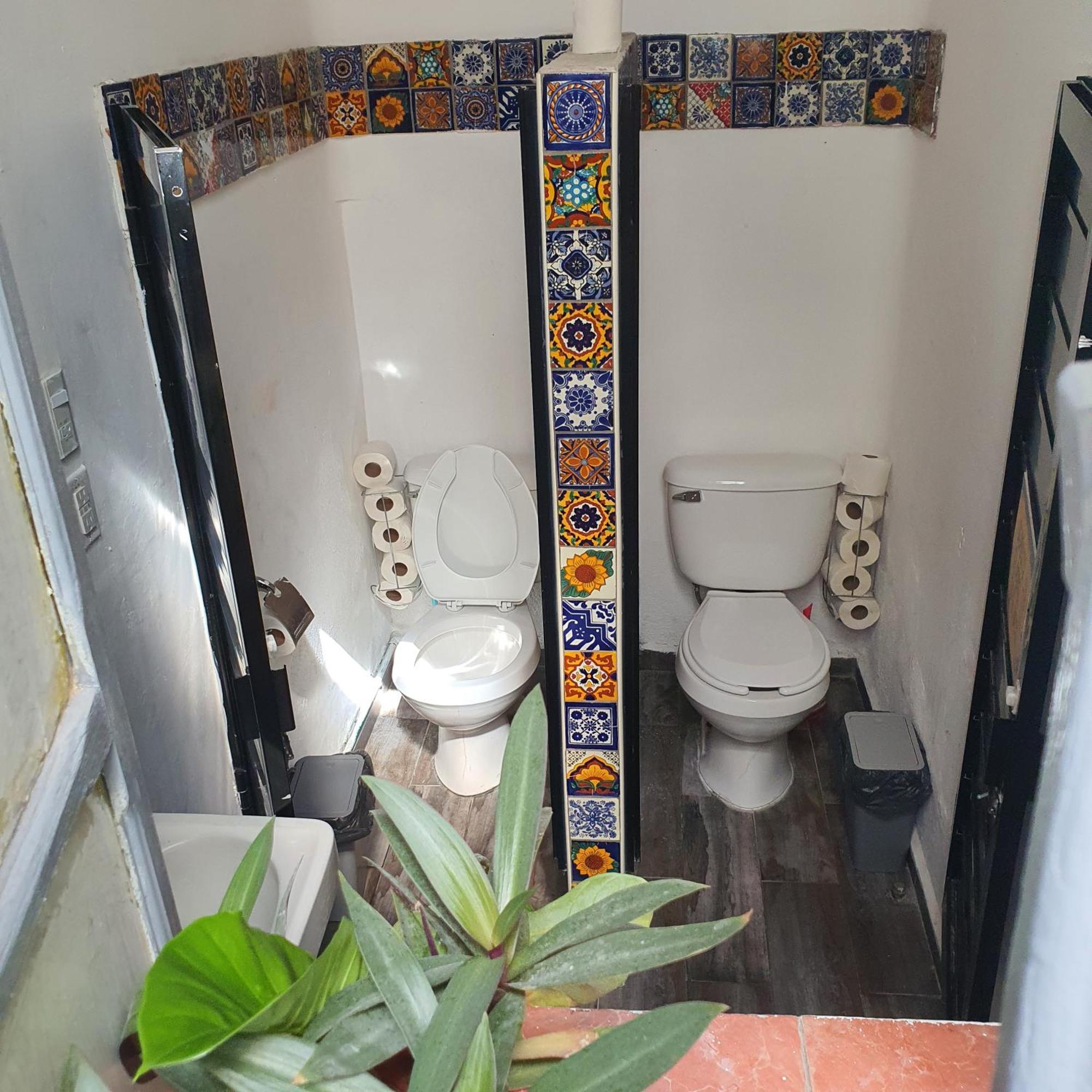 Sukha Hostel San Luis San Luis Potosí Dış mekan fotoğraf