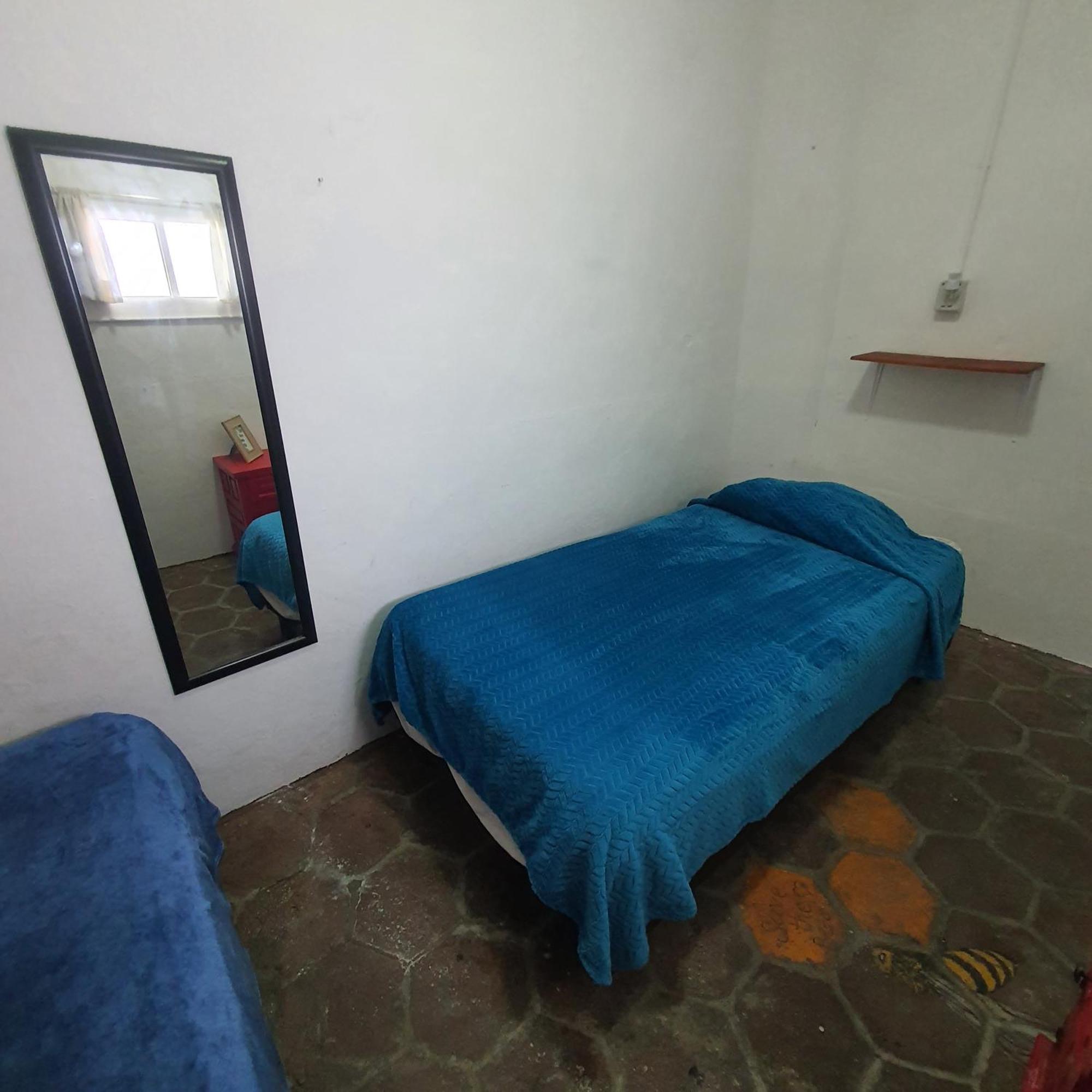 Sukha Hostel San Luis San Luis Potosí Oda fotoğraf
